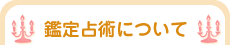 鑑定占術について